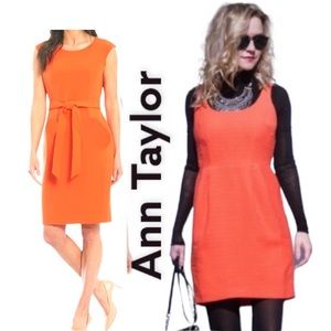 Dress sheath orange fashion formal cocktail casual dress shirt tank sundress